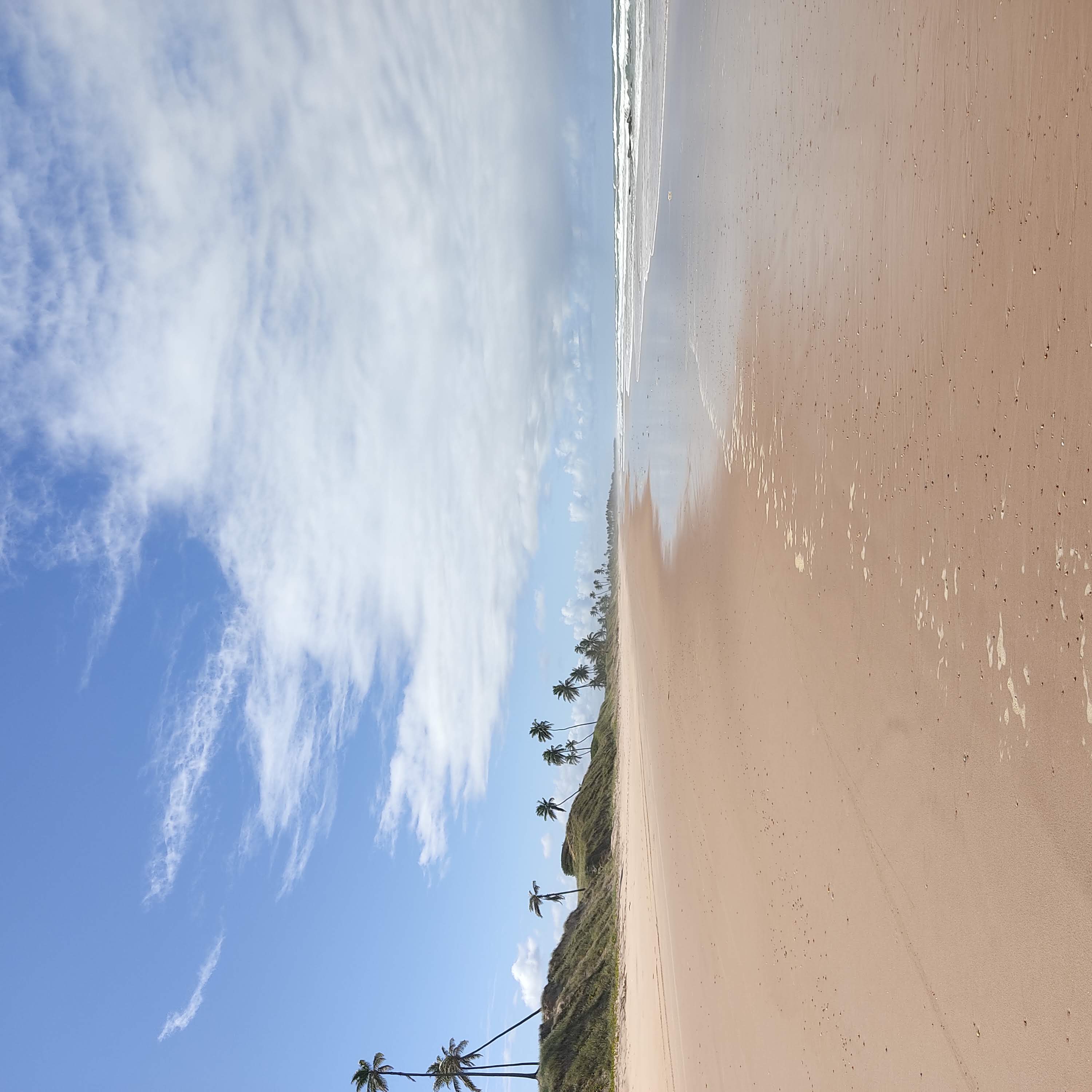 Arena, mar y palmeras en Massarandupió, Bahia