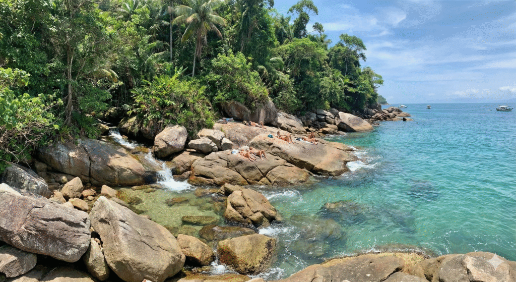 Gemini_Generated_Image_93bh1w93bh1w93bh