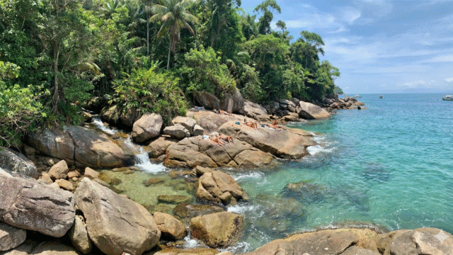 Gemini_Generated_Image_93bh1w93bh1w93bh