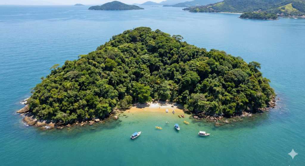 Gemini_Generated_Image_jyvgl6jyvgl6jyvg (1)