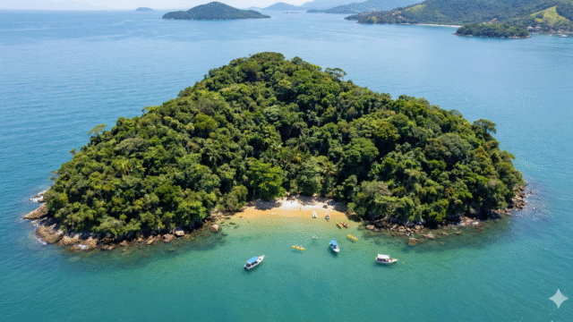 Gemini_Generated_Image_jyvgl6jyvgl6jyvg (1)