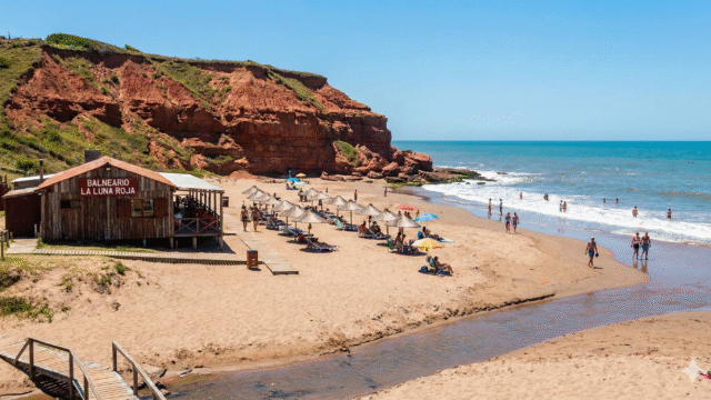 Gemini_Generated_Image_vdqk4gvdqk4gvdqk