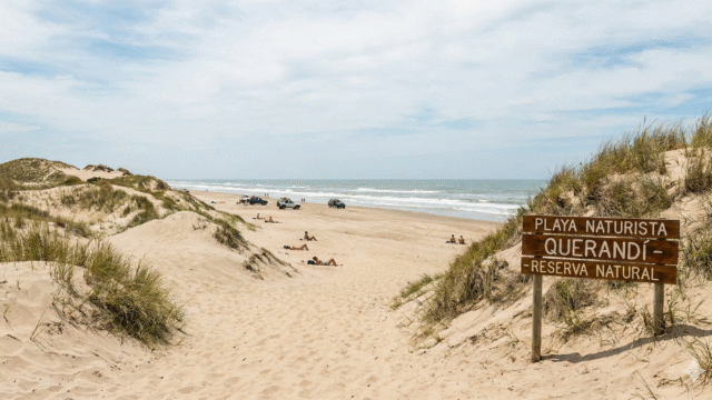 Gemini_Generated_Image_vgep3qvgep3qvgep